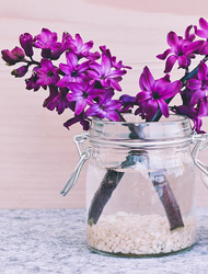 无限轰炸手机软件短信下载