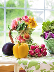 手机号呼叫软件