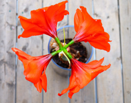 电话在线轰炸网页版